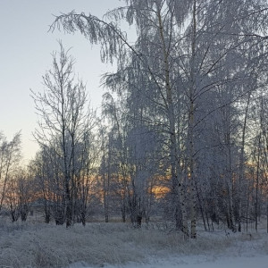 Прогноз погоды во Владимирской области на 21 февраля 2025 года