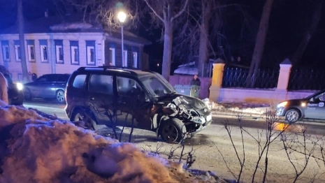 Во Владимирской области повозку с туристами сбил замначальника полиции