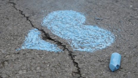 Многодетной семье из Меленок выдали участок для строительства дома на бездорожье