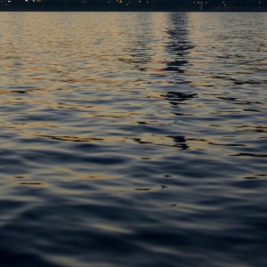 В муромскую Оку выпустили 4 тыс. мальков стерляди