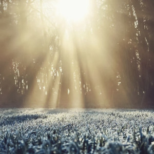 Прогноз погоды во Владимирской области на 16 ноября