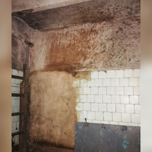 Жители Вязников обратились к Путину из-за ужасного состояния городской бани