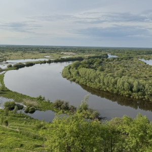 Во Владимирской области летом будут открыты 38 пляжей для купания