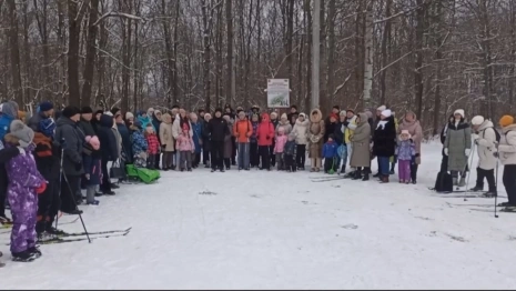 Владимирцы обратились к Путину ради отмены строительства трассы через парк «Дружба»