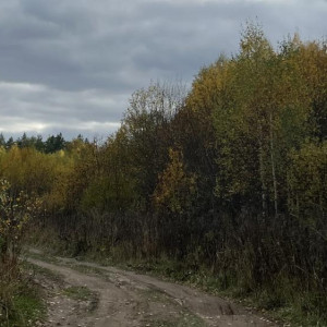 Прогноз погоды во Владимирской области на 21 ноября 2025 года