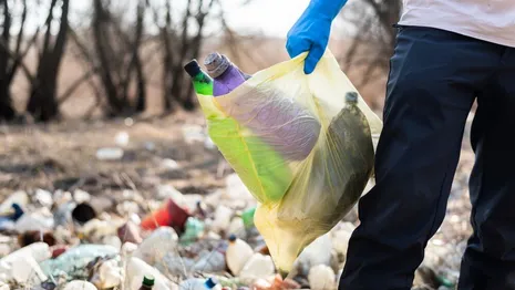 Во Владимирской области на борьбу с мусором направят 87 млн рублей