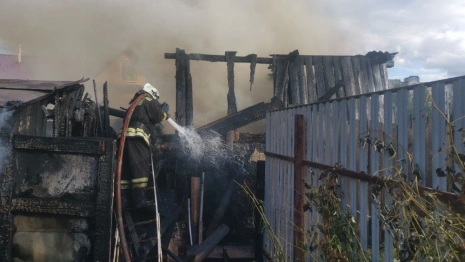 Во Владимире сняли на видео полыхающую баню
