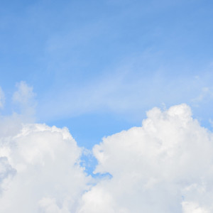 Василиса Указательница: что можно и нельзя делать 23 марта