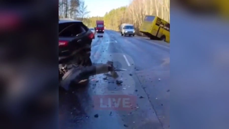 В Киржачском районе произошло ДТП с 5 легковушками и школьным автобусом