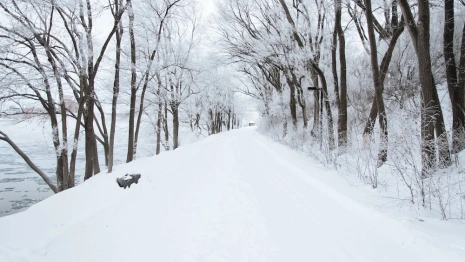 Прогноз погоды во Владимирской области на 27 ноября