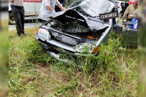Водитель погиб в ДТП с лосем под Гусь-Хрустальным