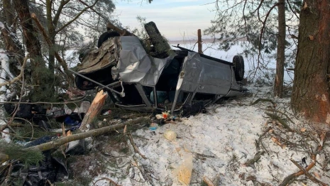 Во Владимирской области в перевернувшемся авто пострадали 5 человек