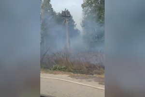 Во Владимирской области около поселка Улыбышево лес загорелся в двух местах