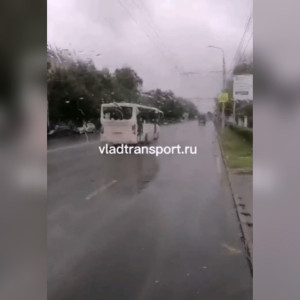 Владимирские водители автобусов перестали останавливаться на остановках