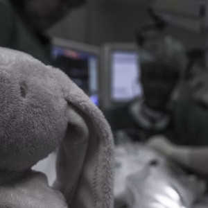 Во Владимирской области мать пожаловалась на врачей после смерти 5-летнего сына