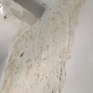 Глава СКР поручил провести проверку по аварийному дому царских времен во Владимире