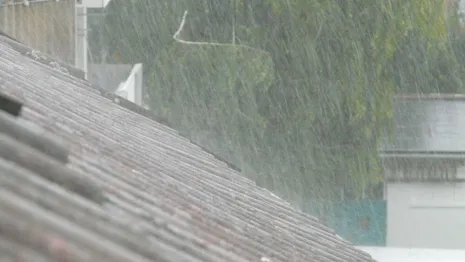 В Муроме дождевая вода затопила квартиру