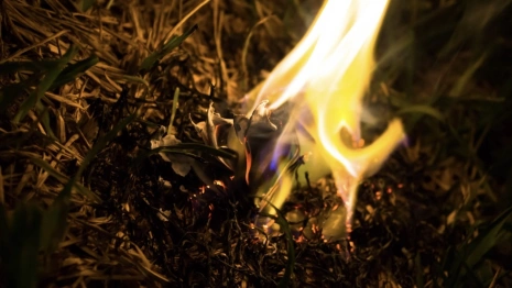 Во Владимирской области до 6 июля сохранится четвертый класс пожарной опасности