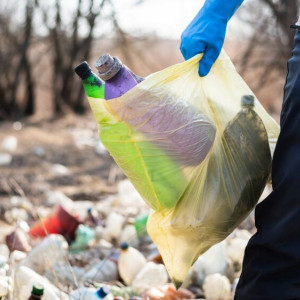 Во Владимирской области на борьбу с мусором направят 87 млн рублей