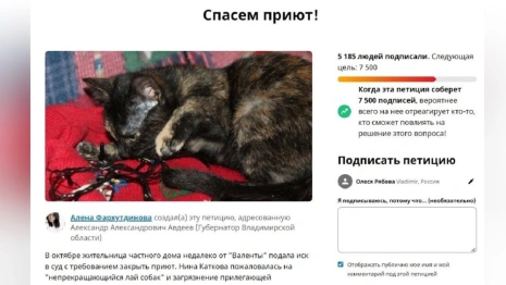 Петицию в защиту владимирского приюта «Валента» подписали больше 5 тыс. человек