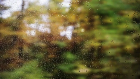 Прогноз погоды во Владимире и области на 8 апреля