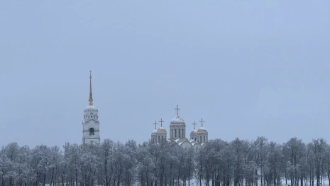 Во Владимирской области короткая рабочая неделя января будет теплой