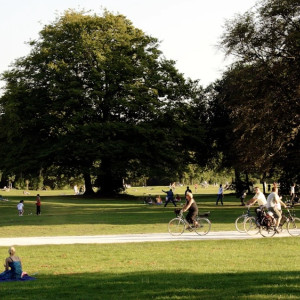 Во Владимире проект благоустройства парка у ДТЮ снова подешевел на 6 млн рублей