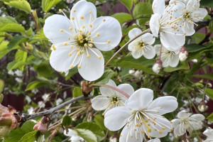 Прогноз погоды во Владимирской области на 28 июня 2025 года