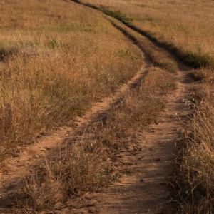 В Кольчугинском районе жители пожаловались на разбитую дорогу