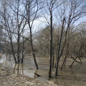 Во Владимирской области затопило 202 двора и 4 участка дороги