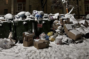 Владимирцы сравнили заваленные мусором дворы с помойкой