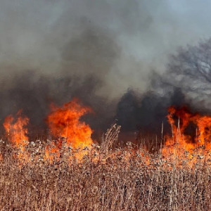 Во Владимирской области запретили жечь костры с 18 апреля