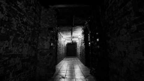 В подвале пятиэтажки во Владимире нашли разложившийся труп