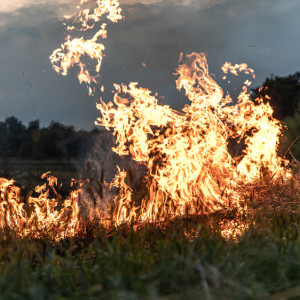 Во Владимирской области спасатели потушили 13 ландшафтных пожаров за сутки