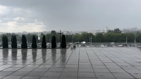 По Владимиру прошел грибной дождь