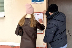 Во Владимирской области с 17 февраля начался подомовой обход к выборам президента