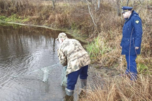 На озере во владимирском заказнике нашли запрещенные для вылова рыбы сети