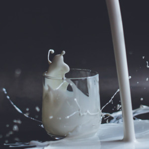 Владимирское молоко признали лучшим в России