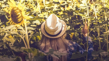 Последний понедельник лета-2022 во Владимирской области принесет 33-градусную жару