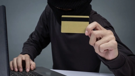 Мошенники обманули 1,6 тыс. жителей Владимирской области с начала года