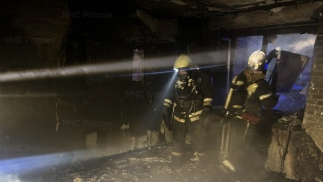 При пожаре во Владимире на Безыменского спасли 12 человек