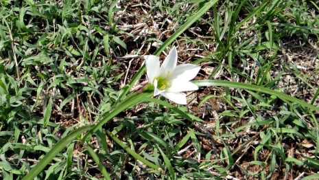 Июнь во Владимирской области завершится похолоданием
