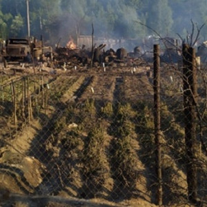 Жители владимирского поселка о страшном пожаре: «Сгорело все – от лопат до машин»