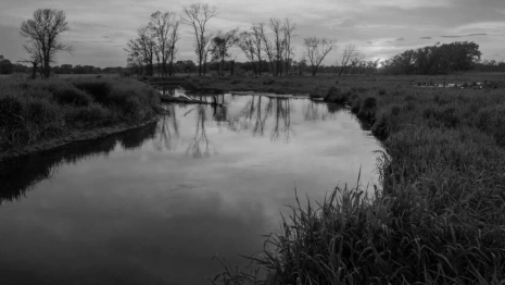 Пропавшего во Владимирской области 45-летнего мужчину нашли мертвым