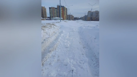 Во Владимире оставшиеся без дороги жители предложили запустить челлендж 