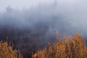 Прогноз погоды во Владимире и области на 16 октября 2025 года