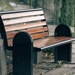 Во Владимире предложили благоустроить 7 скверов