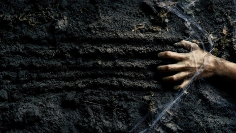 В СНТ «Сунгирь» под Владимиром нашли разложившийся труп мужчины на берегу Клязьмы