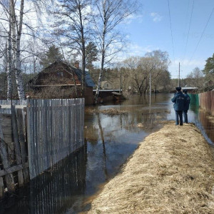 Во Владимирской области вода ушла из 34 приусадебных участков