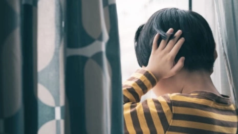 Во Владимирской области дачникам запретили шуметь в определенные часы